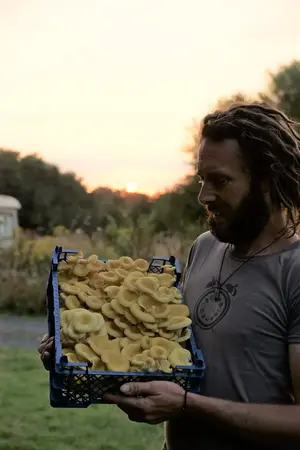 Fermede Kebell Touseg